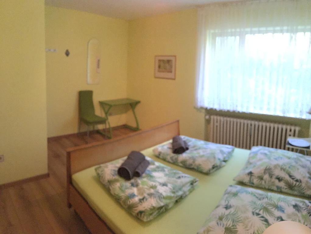 Large Wuerzburg Apartment Ngoại thất bức ảnh